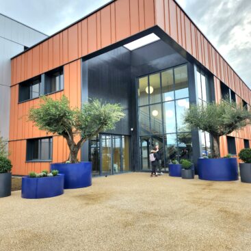 aménagement parvis entreprise pots oliviers Acti Sud Paysage paysagiste Dijon